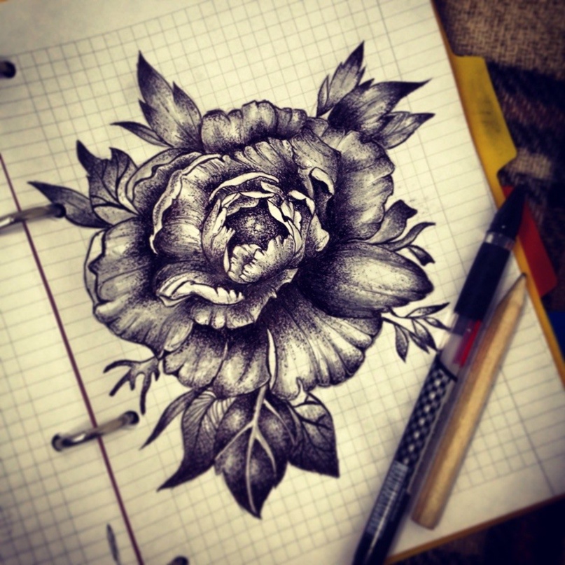 Полина Ежова |