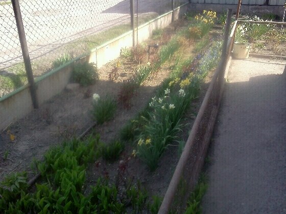 Михаил Фираго | Талдыкорган