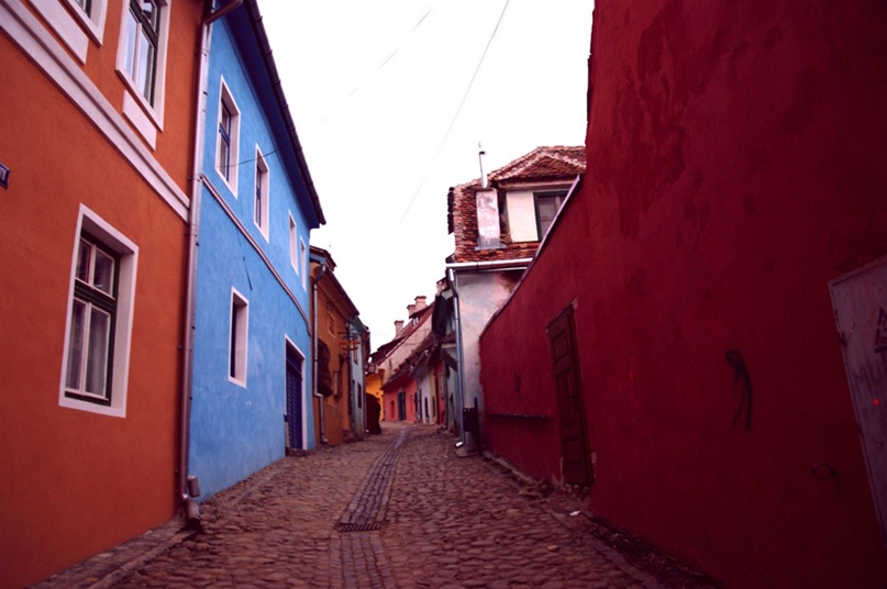 Екатерина Потапова | Дубна