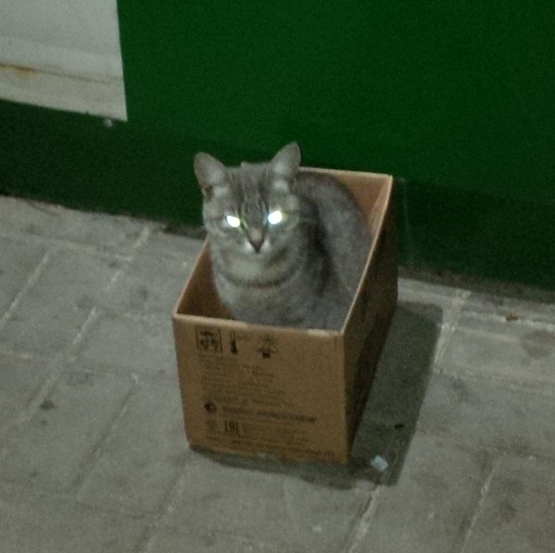 Роман Дружинин | Тамбов