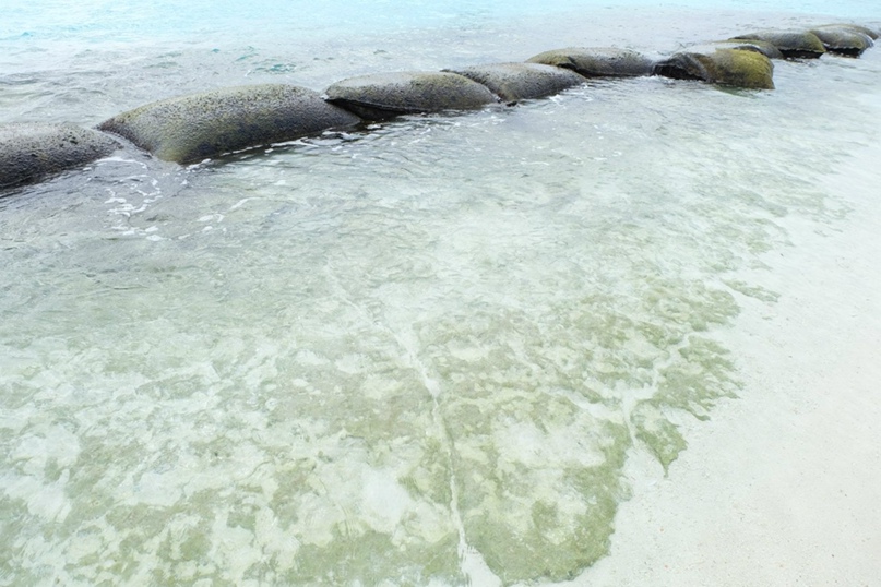 Павел Хлебников | Москва