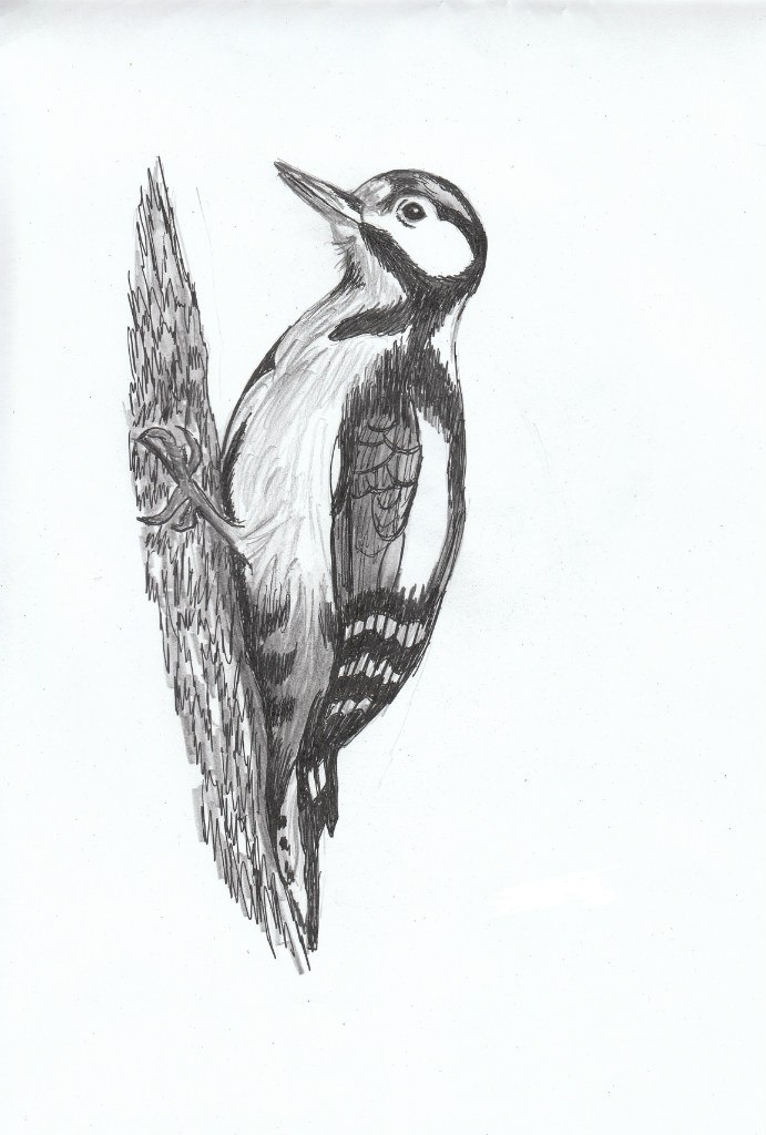 Валентина Бодрова | Вятские Поляны