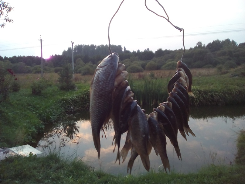 Алексей Воскобойников | Минск