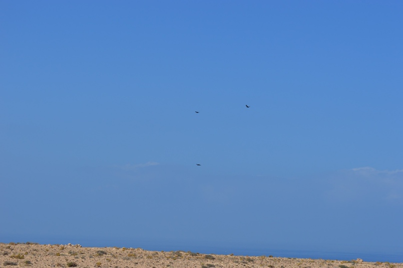 Оксана Кулешова | Санкт-Петербург