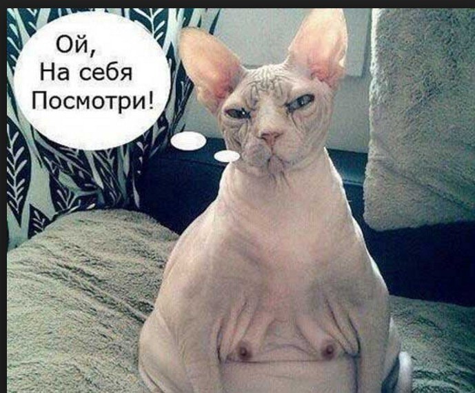 Мария Мирошина | Москва