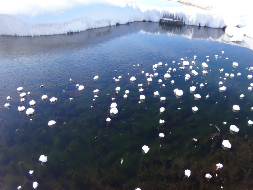 Алексей Пыстин |