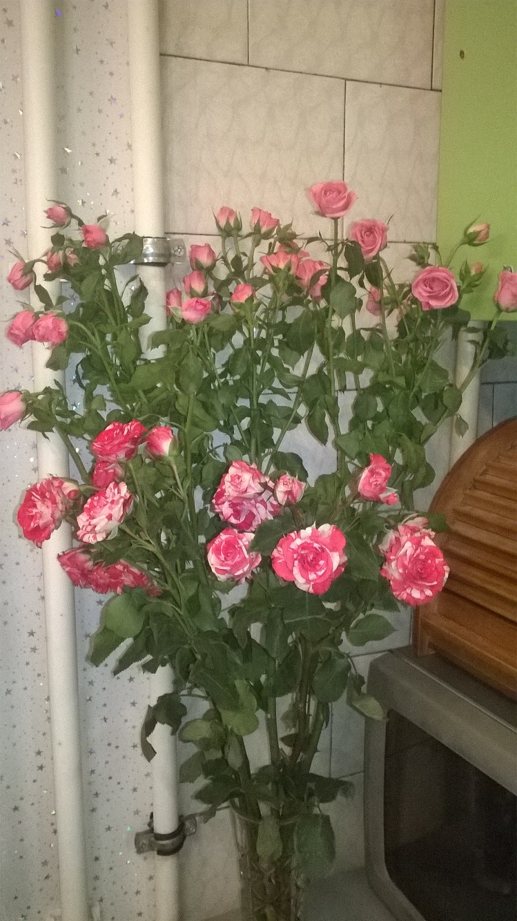 Ольга Корабельникова | Санкт-Петербург