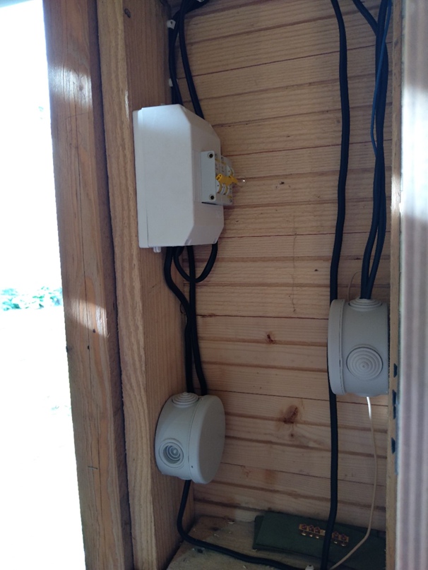 Александр Бойцов | Санкт-Петербург