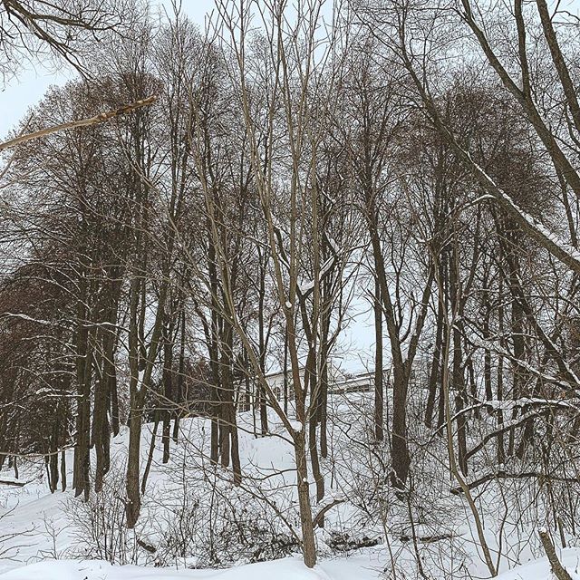 Екатерина Торопова | Москва