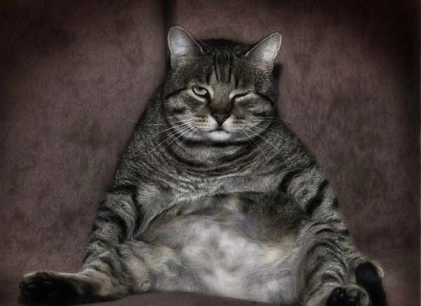 Александр Круглов | Чапаевск