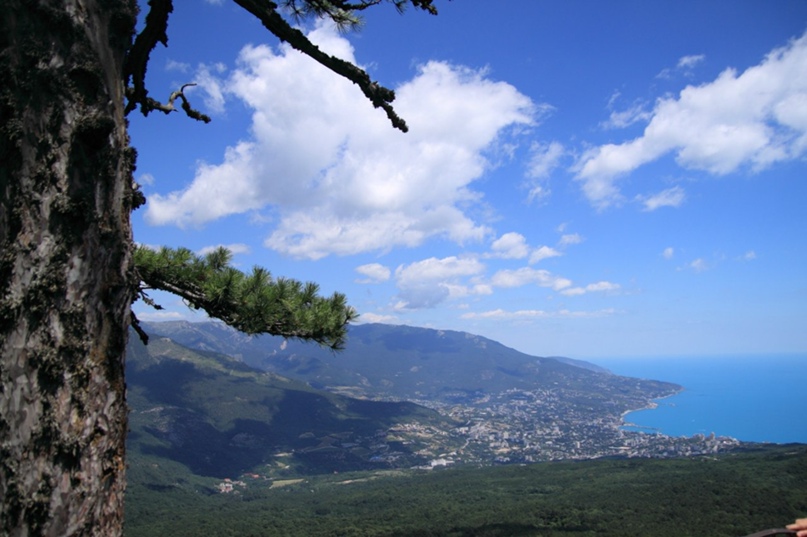 Светлана Кучер | Киев