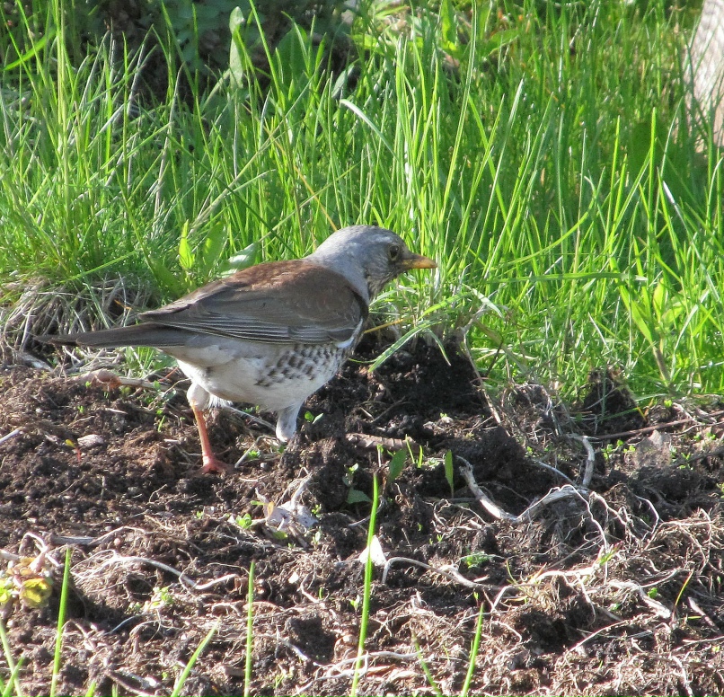 Екатерина Луценко | Санкт-Петербург