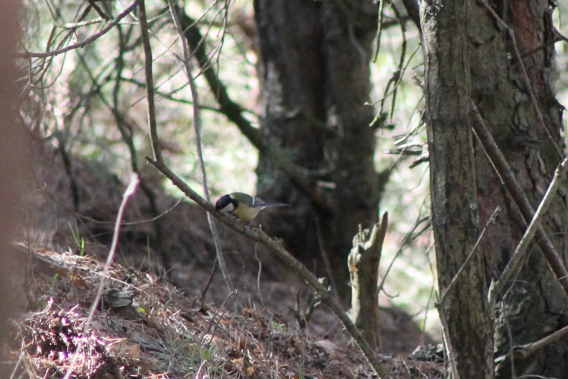 Мария Егорова | Владимир