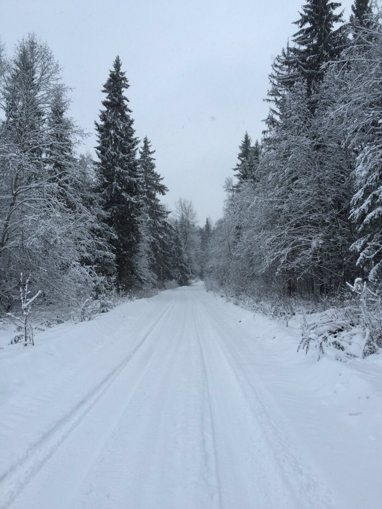 Игорь Герасимов | Managua
