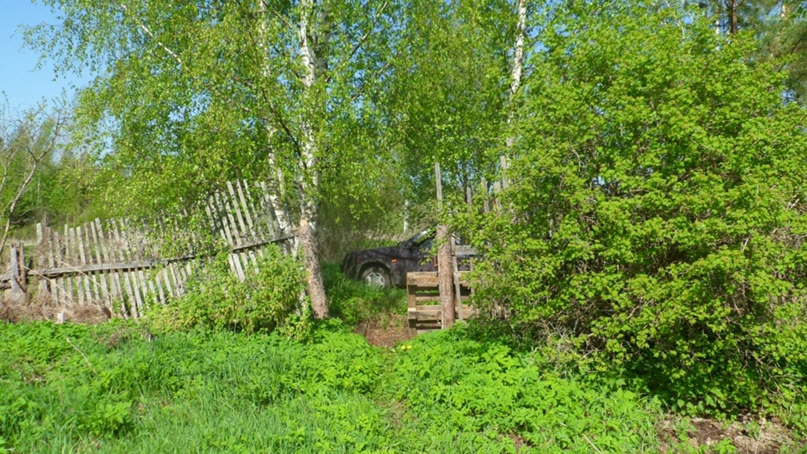 Галина Жолудева | Луга