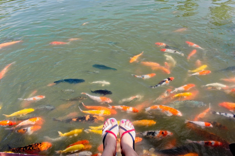 Светлана Бондарь | Самара