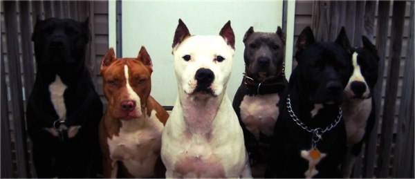 Павел Калиниченко | Киев