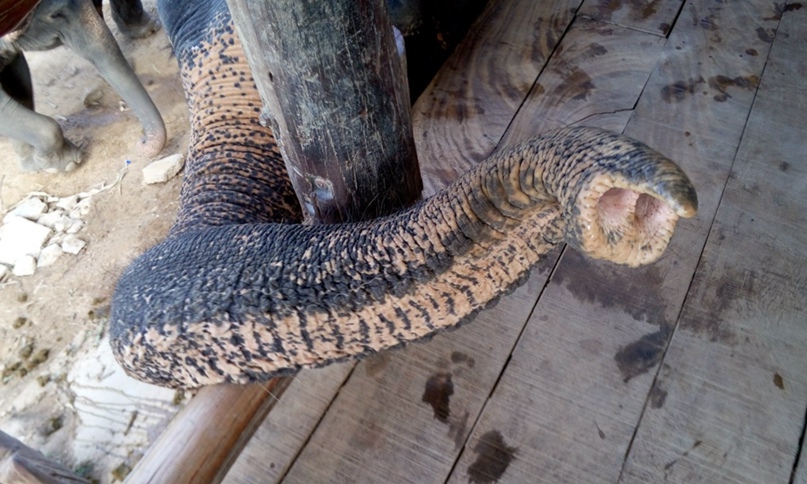 Сергей Петрунин | Сергиев Посад