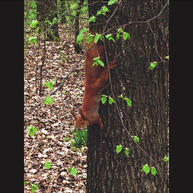 Владимир Костюк | Киев