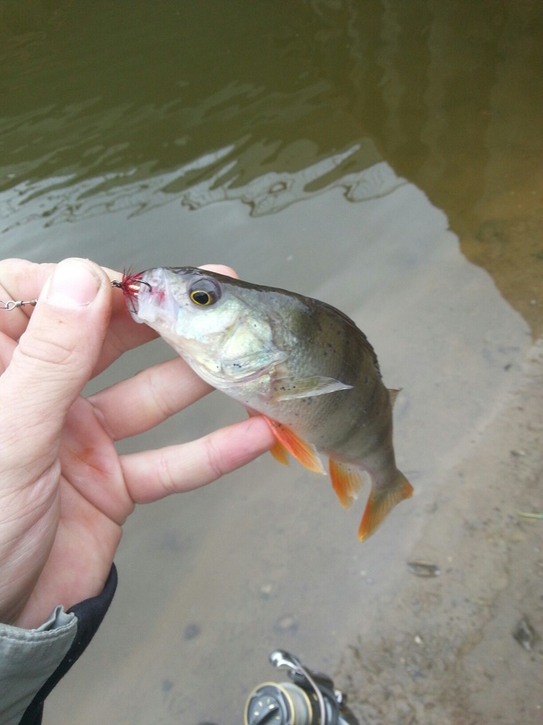 Максим Поздеев MW™ | Казань