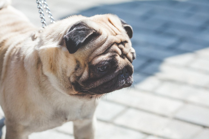 Юля Орлова | Семей