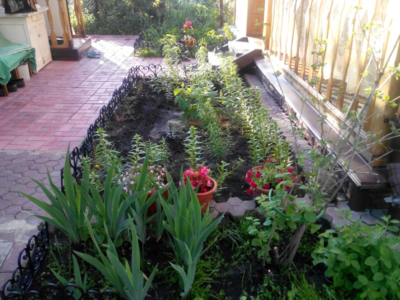 Екатерина Туманова | Челябинск