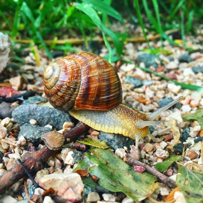 Елена Ведерникова Сергеевна | Иркутск