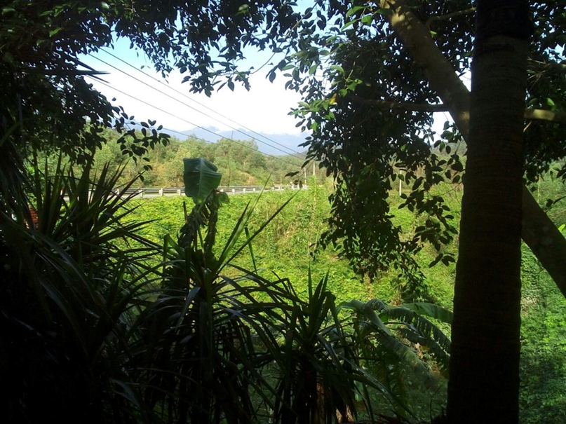 Мария Морозова | Санкт-Петербург