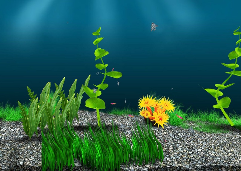 Алексей Остапчук |