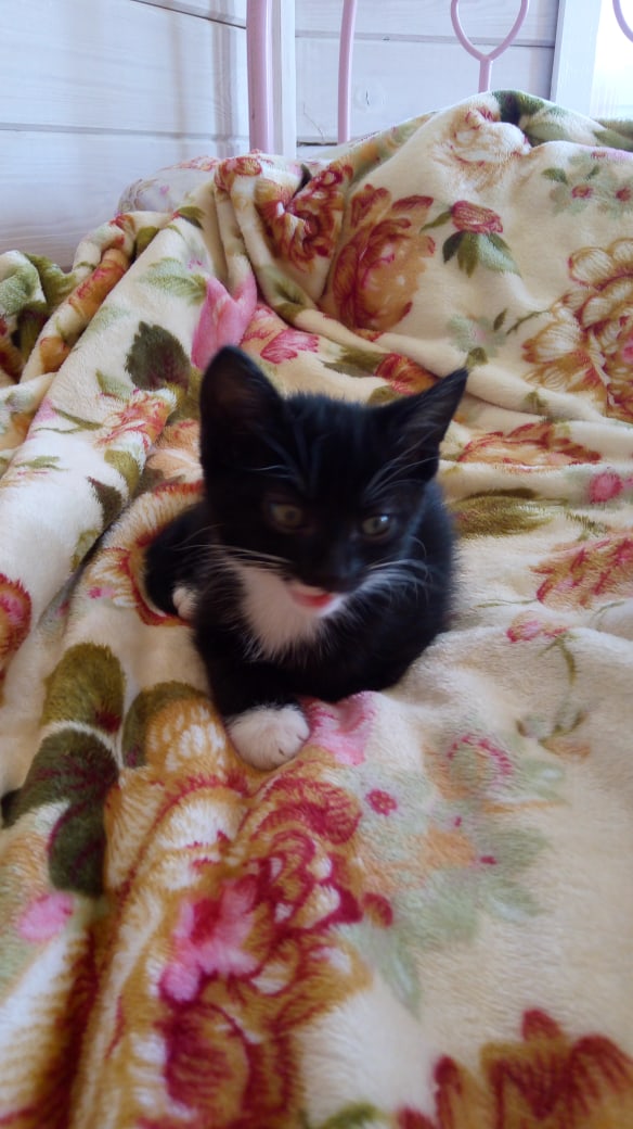 Наталия Грачева | Санкт-Петербург