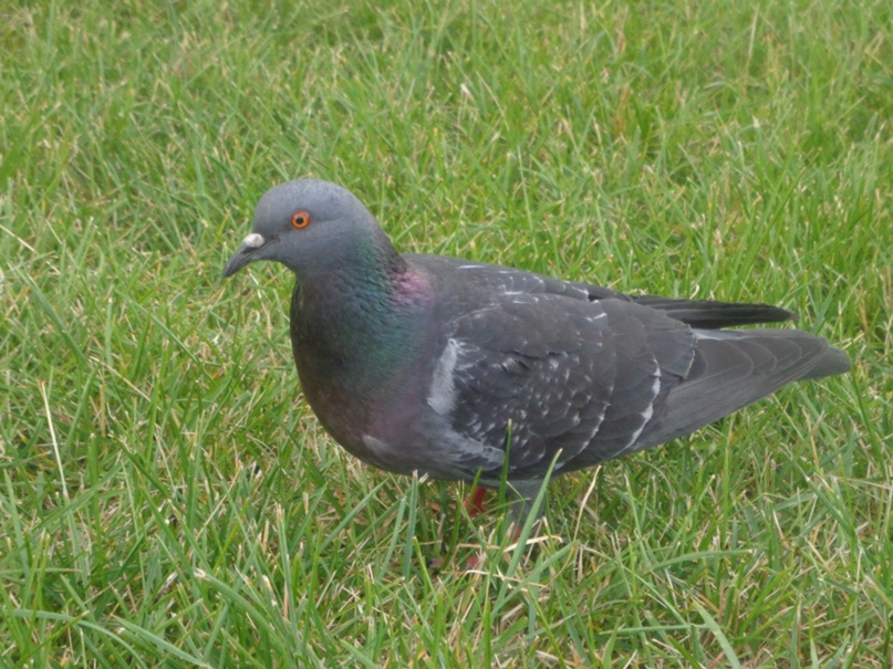 Евгений Владимирович | Ижевск