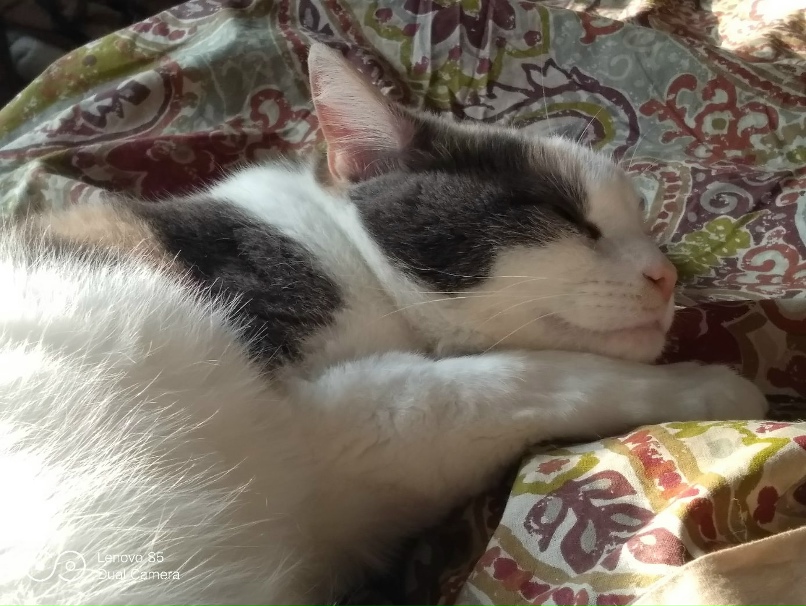 Елена Матвеева | Санкт-Петербург