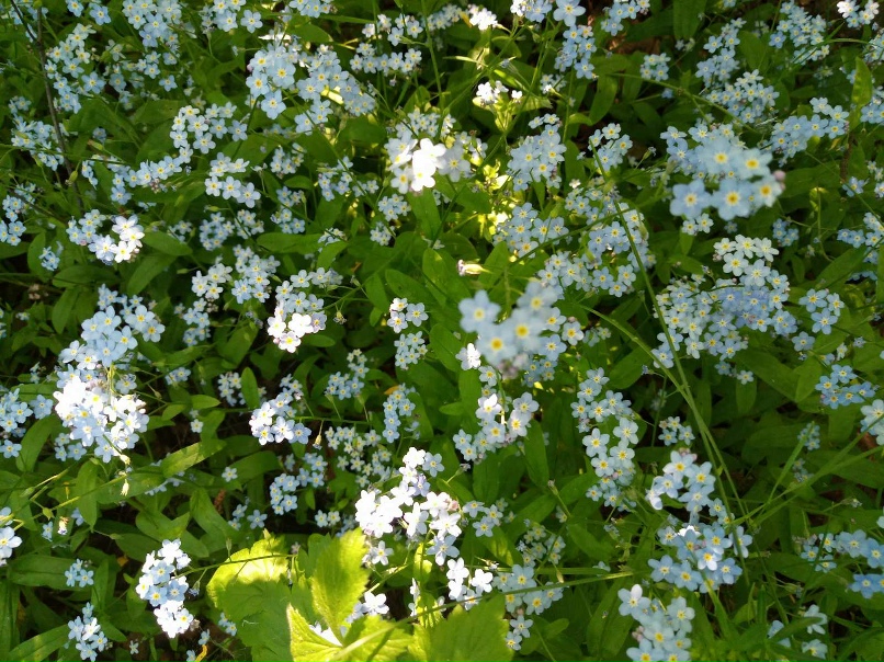 Анна Григорьева *Снежинка* | Нижний Новгород