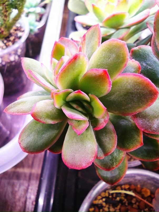 Ольга Колмакова | Москва