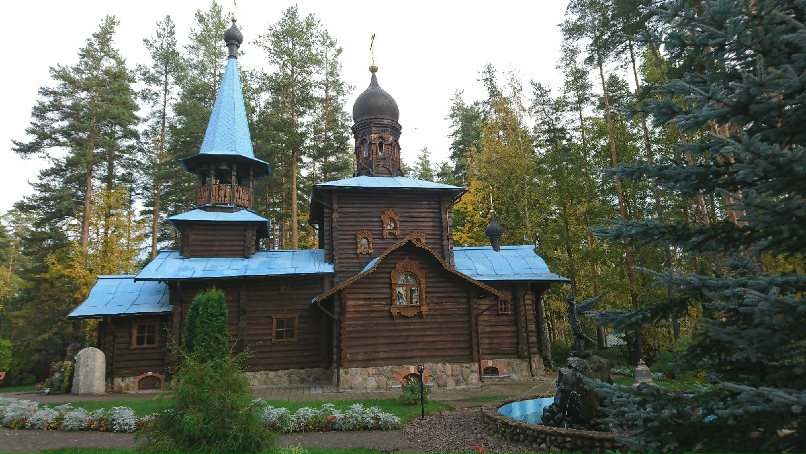 Сергей Чижиков | Санкт-Петербург