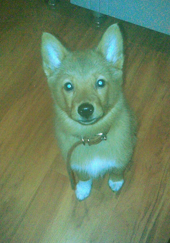 Алексей Меньшиков | Северодвинск