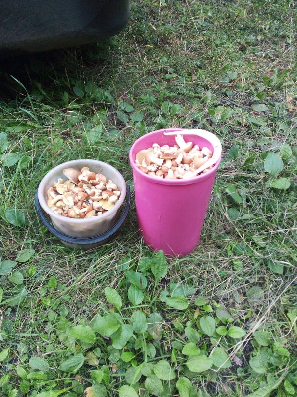 Николай Коновалов | Челябинск