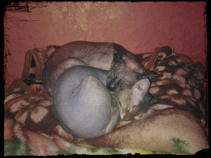 Алёна Львова | Южно-Сахалинск