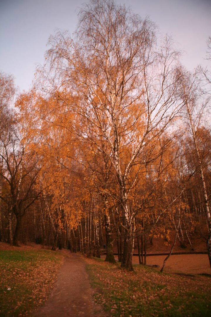 Антон Моисеенко | Москва