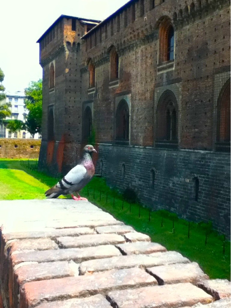 Антон Дегтярев | Киев