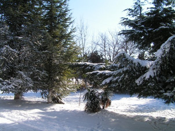 Андрей Монахов ♥♥MONAH♥♥ |