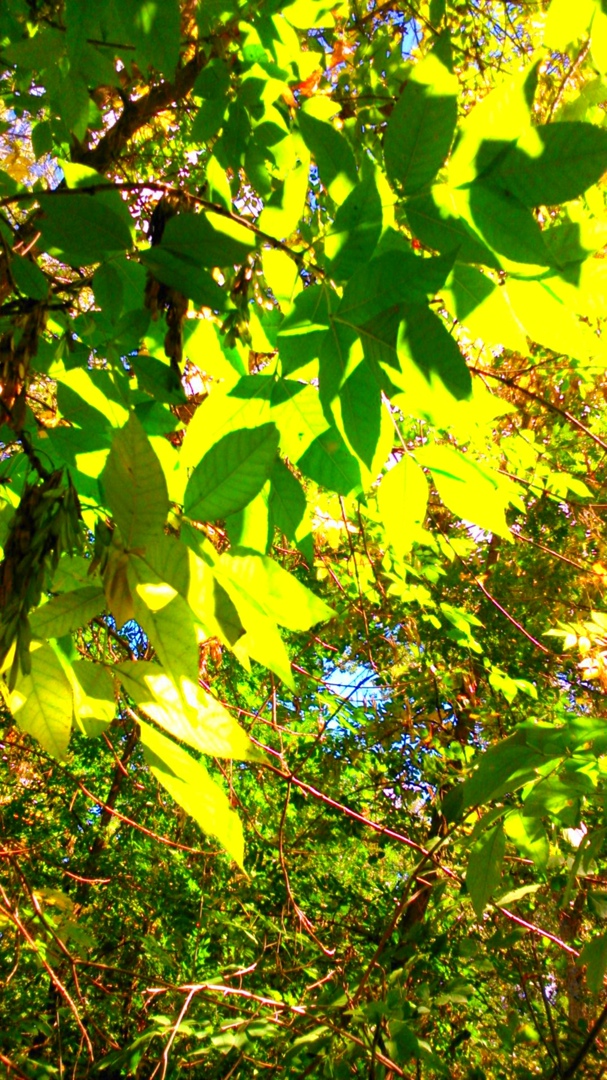 Виктория Селезнёва | Астрахань