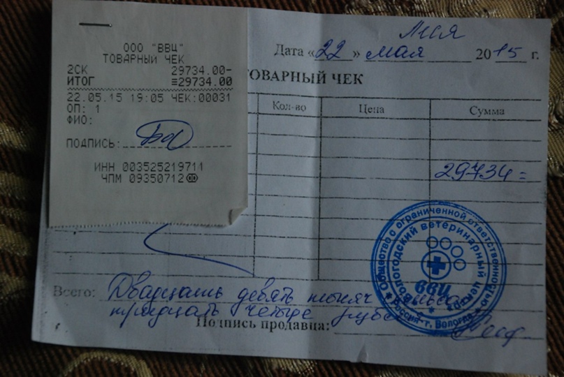 Полина Родионова | Ярославль