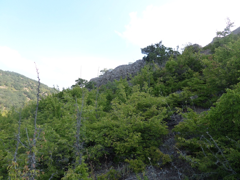 Иван Шальнев | Раменское