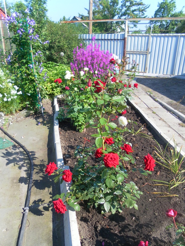 Надежда Зуева | Курган