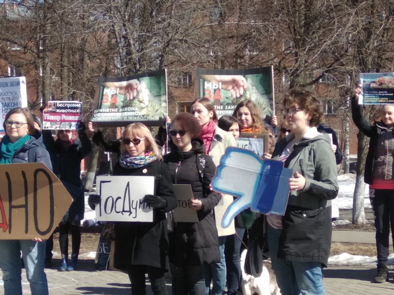 Анна Фоминых | Ижевск