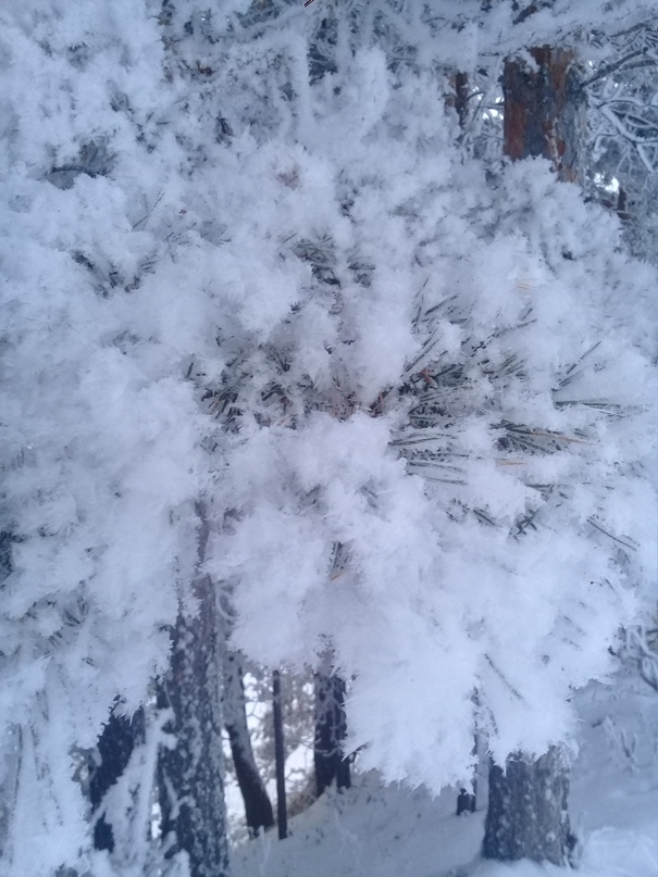 Аня Петрова | Кудымкар