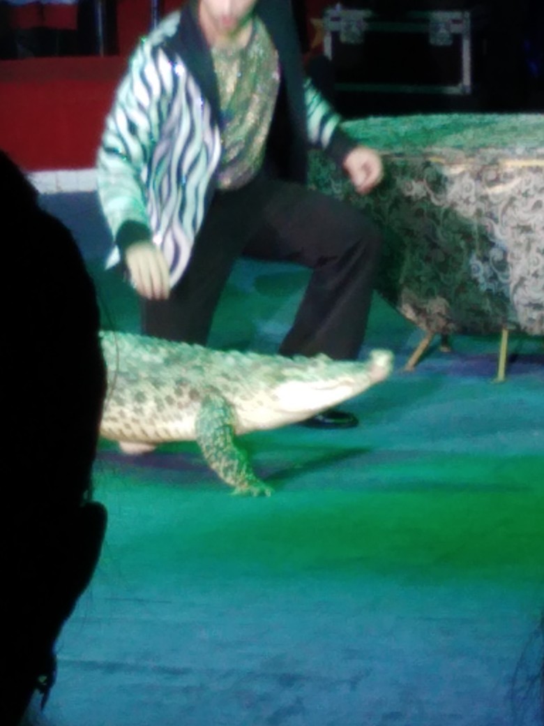 Наташа Шмелева | Липин Бор