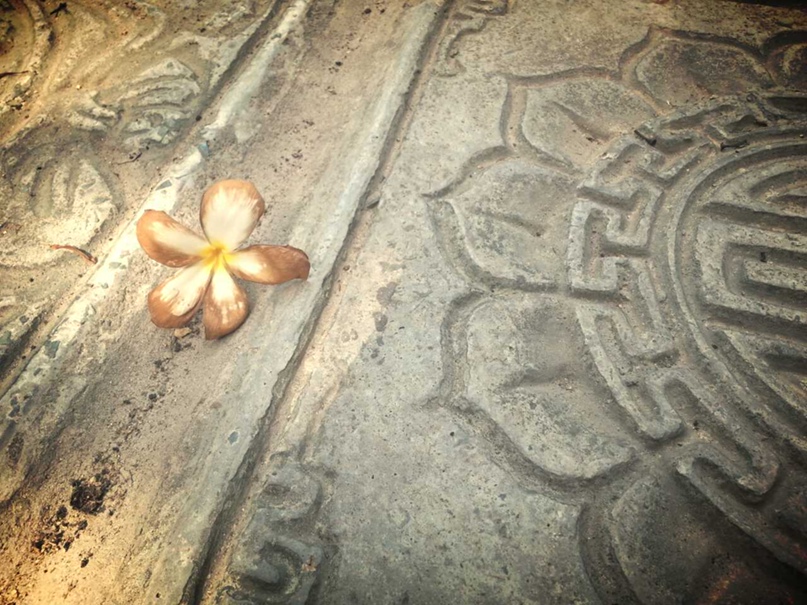 Жанна Орлова | Киев