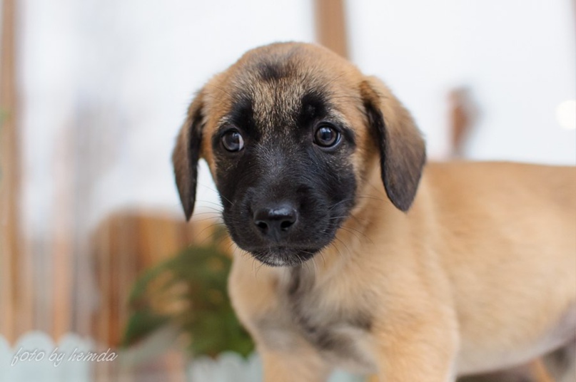 Людмила Грязнова hemda | Новосибирск